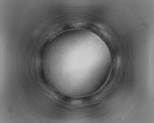 X0000115820653200911131445