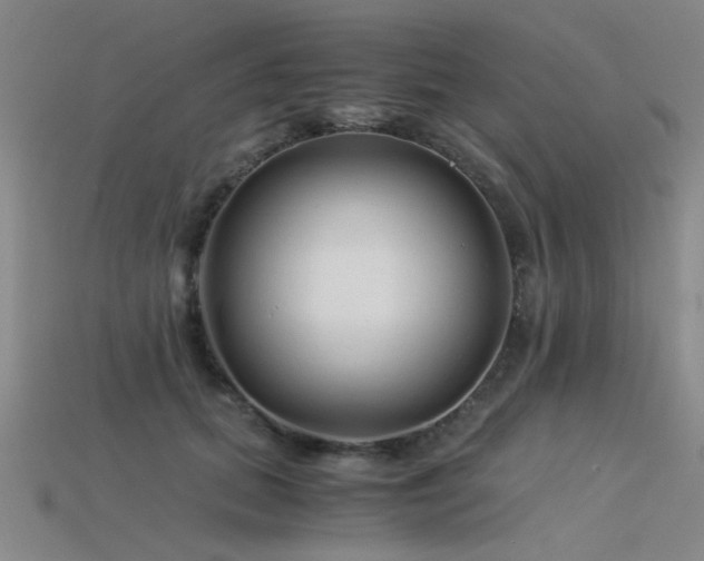 X0000115820655200911131445