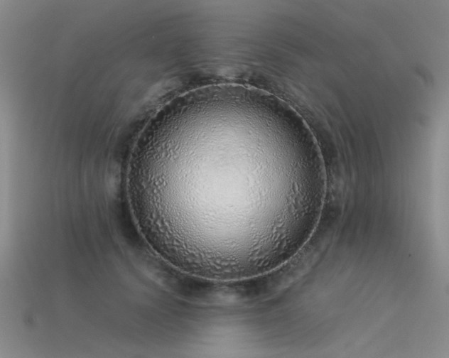 X0000115820656200911131445