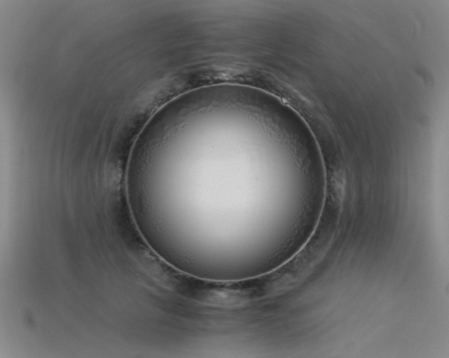 X0000115820657200911131445