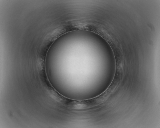 X0000115820658200911131445