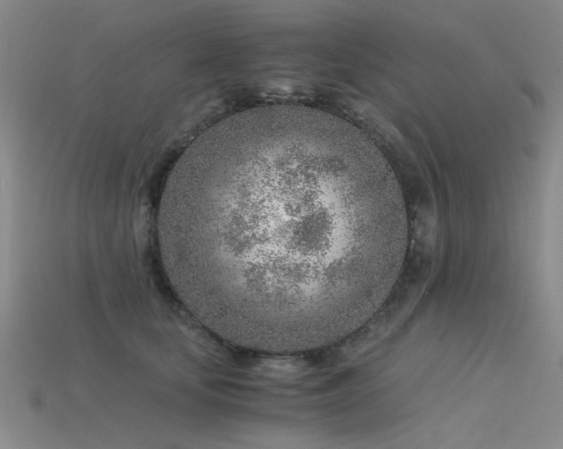 X0000115820659200911131445