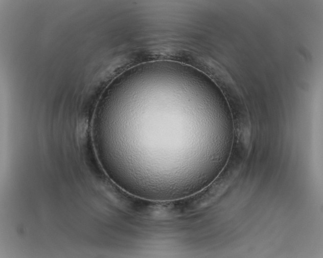 X0000115820660200911131445