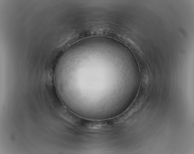 X0000115820661200911131445