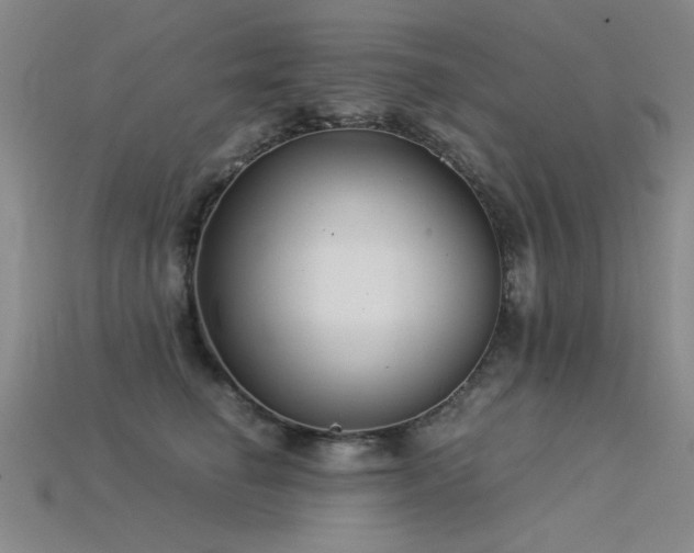 X0000115820662200911131445