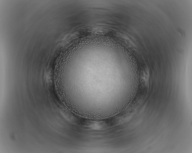 X0000115820663200911131445