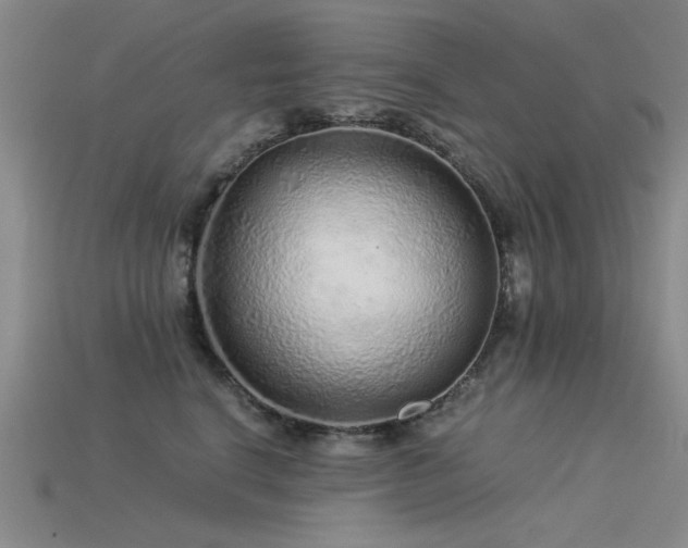 X0000115820664200911131445