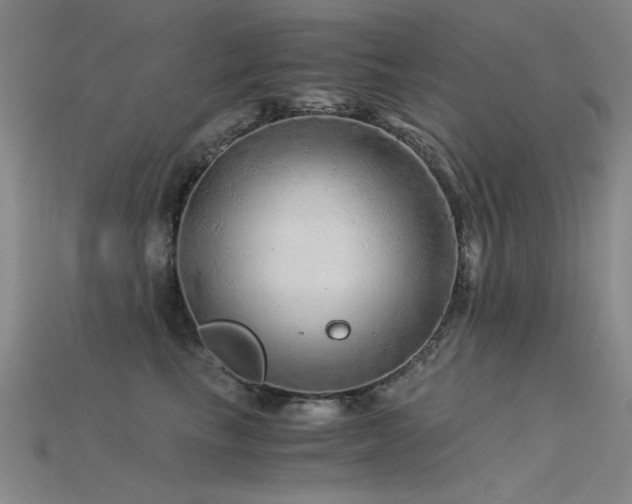 X0000115820665200911131445