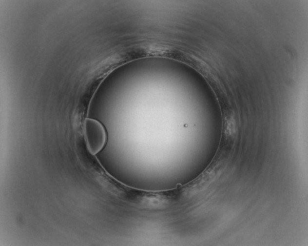 X0000115820666200911131445