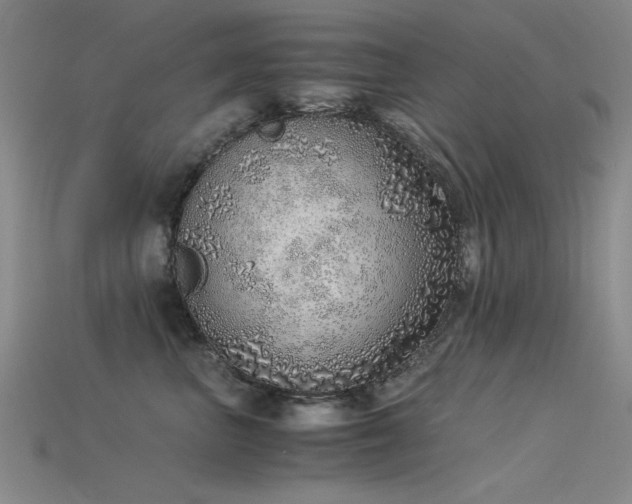 X0000115820667200911131445