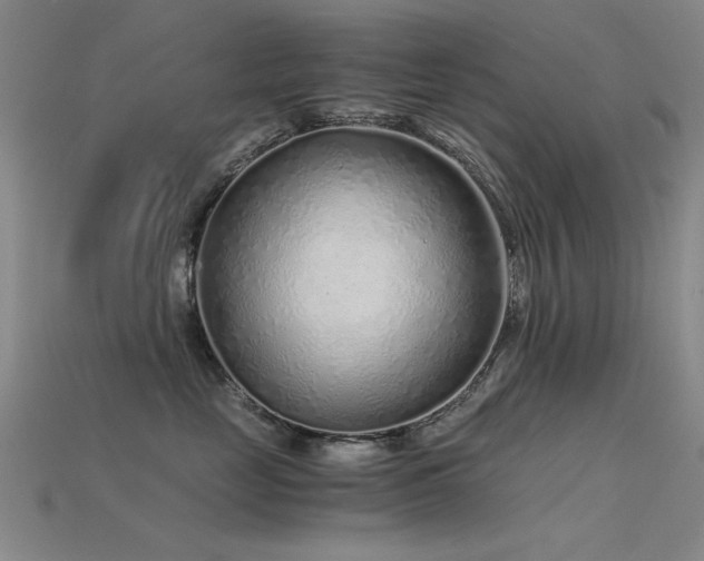 X0000115820669200911131445