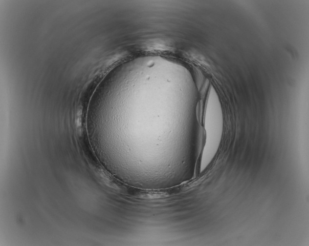 X0000115820670200911131445