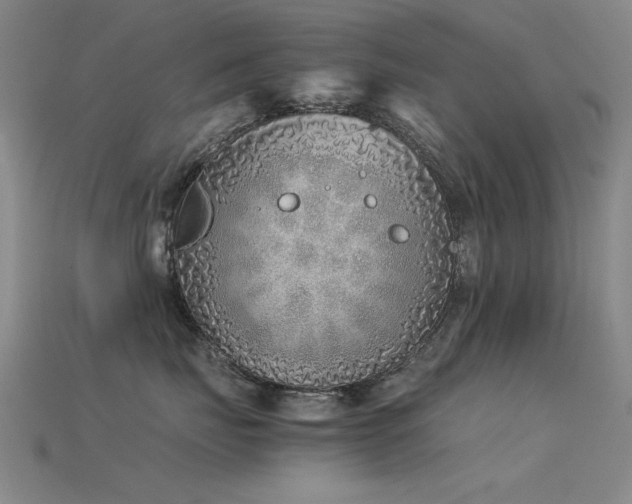 X0000115820671200911131445