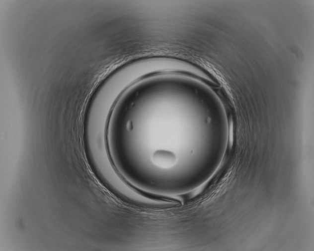 X0000115820673200911131445