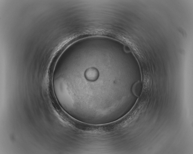 X0000115820674200911131445