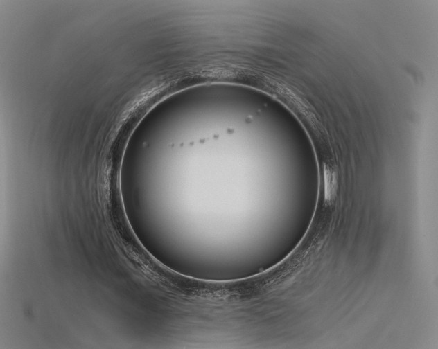 X0000115820675200911131445