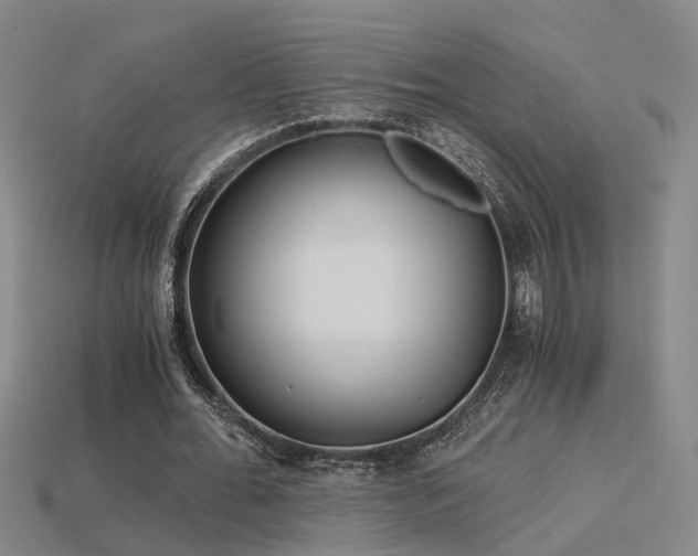 X0000115820676200911131445