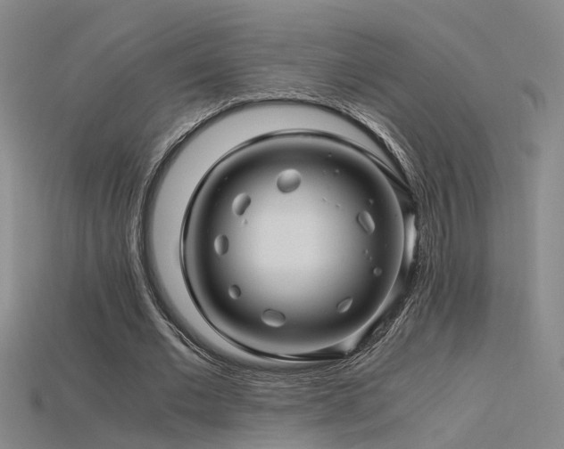 X0000115820677200911131445