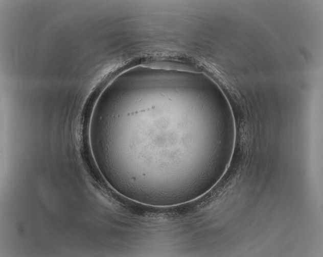 X0000115820679200911131445