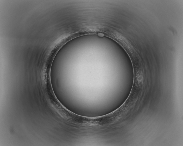 X0000115820680200911131445