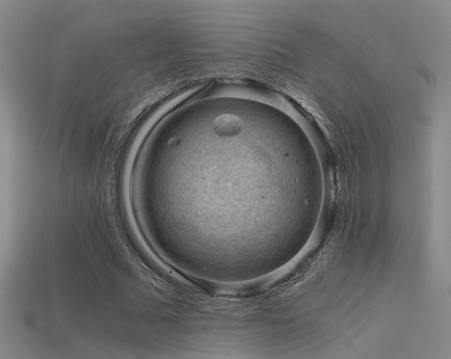 X0000115820681200911131445