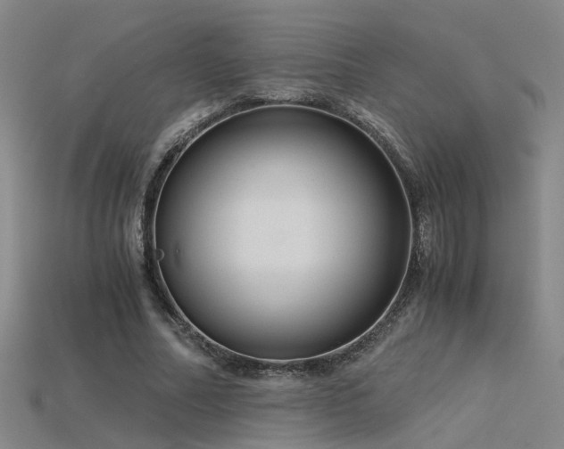 X0000115820682200911131445