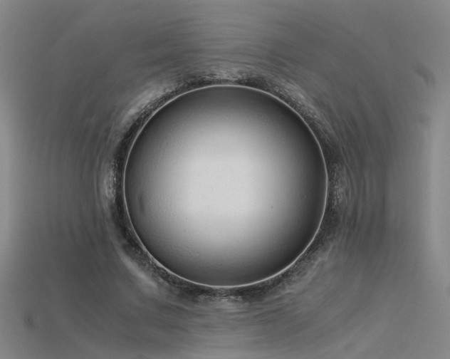 X0000115820683200911131445