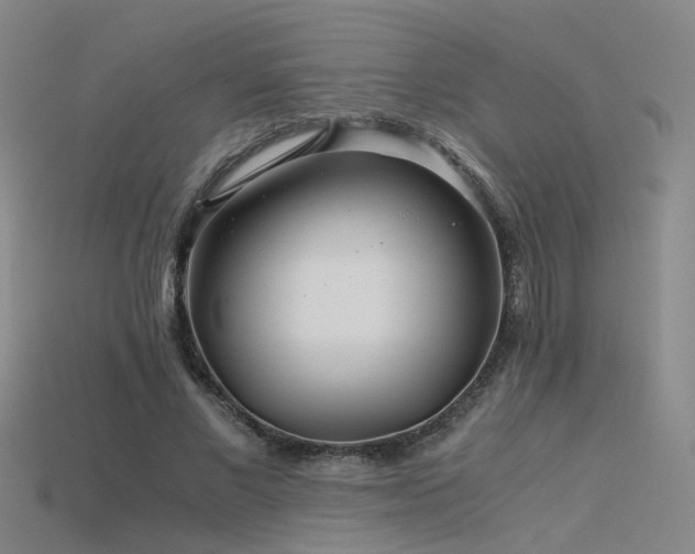 X0000115820685200911131445