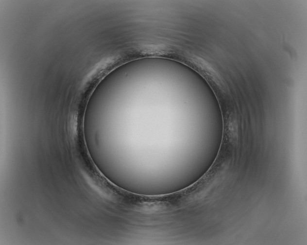 X0000115820686200911131445