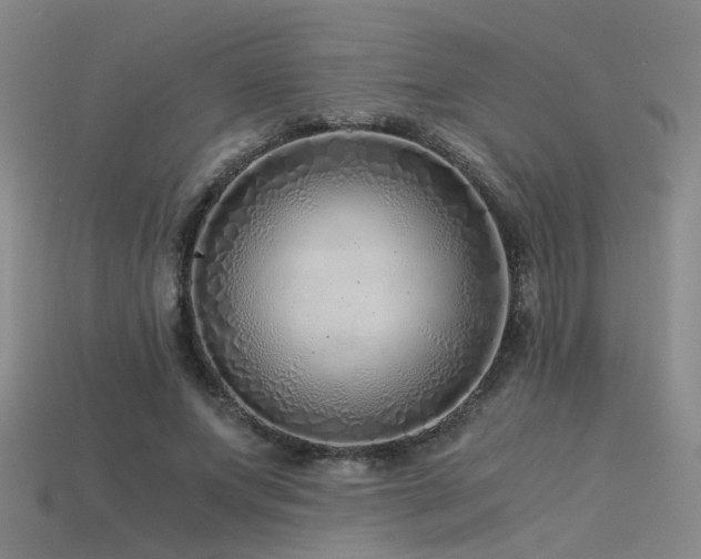 X0000115820687200911131445