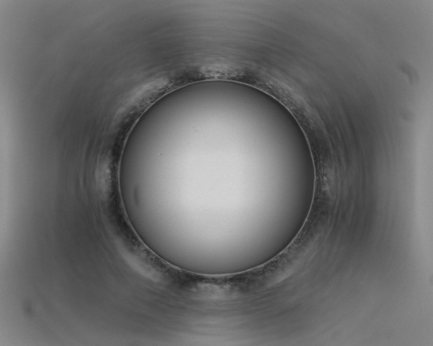 X0000115820690200911131445