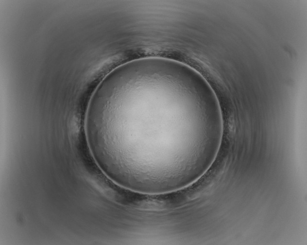 X0000115820691200911131444