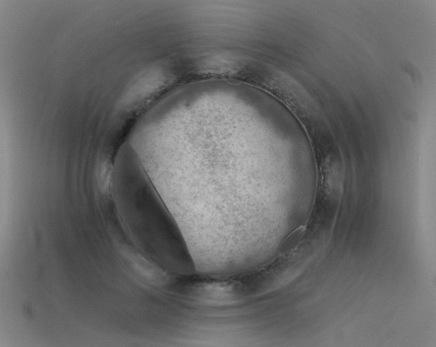 X0000115820692200911131444