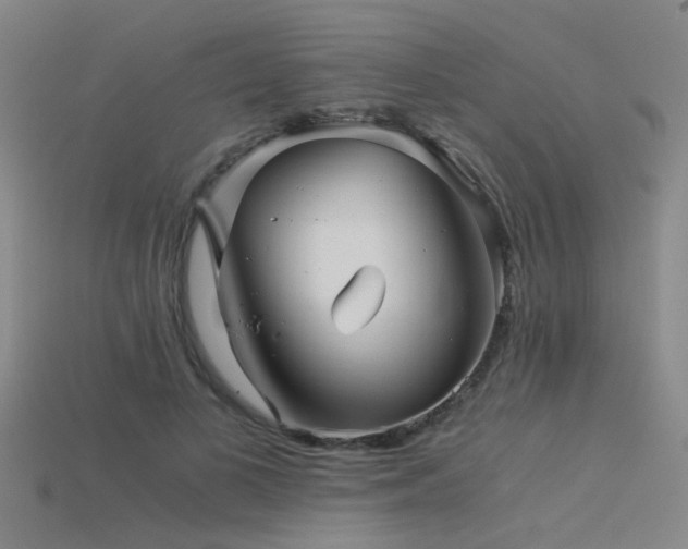 X0000115820693200911131444