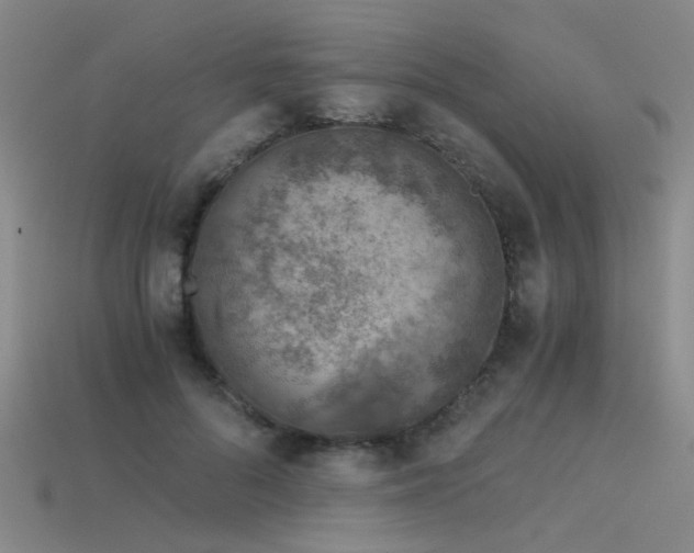 X0000115820696200911131444