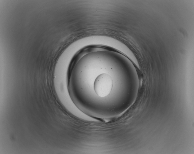 X0000115820697200911131444