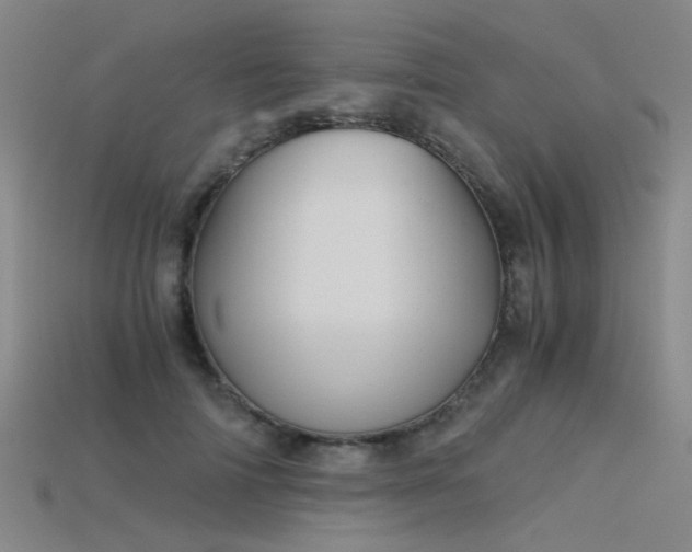 X0000115820698200911131444