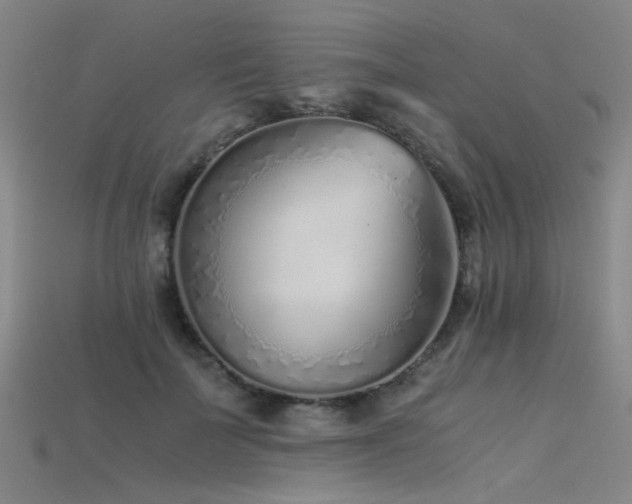 X0000115820699200911131444