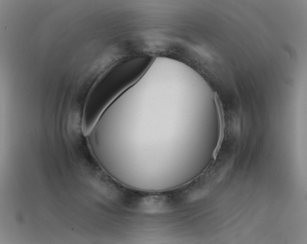 X0000115820700200911131444