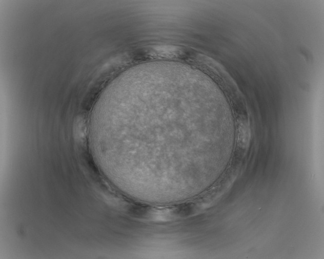 X0000115820701200911131444