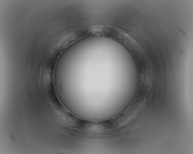 X0000115820702200911131444