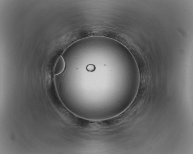 X0000115820703200911131444