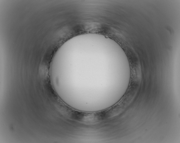 X0000115820705200911131444