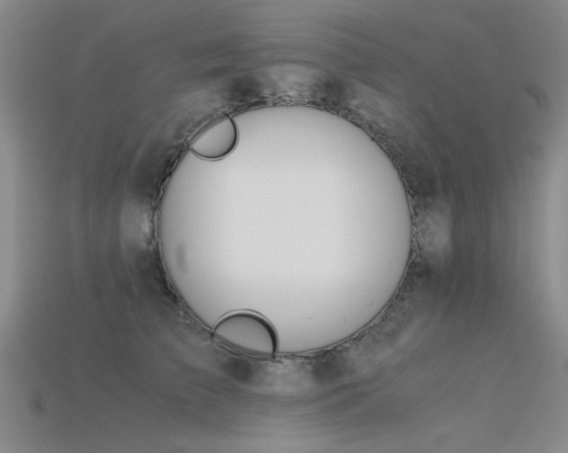 X0000115820709200911131444