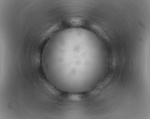 X0000115820710200911131444