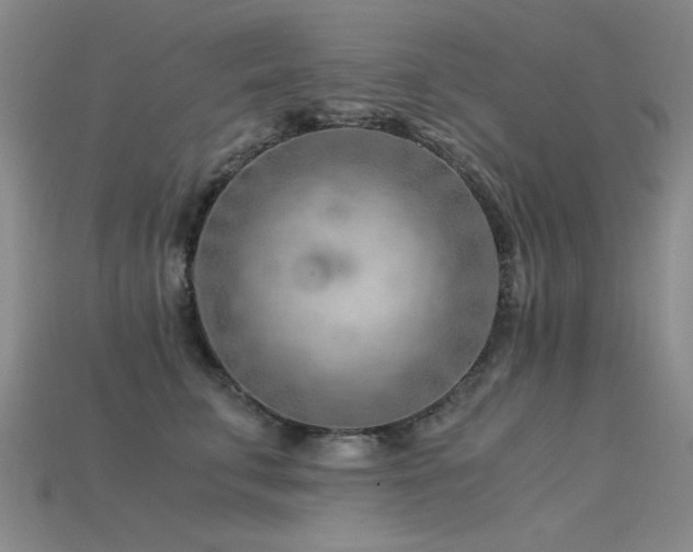 X0000115820711200911131444