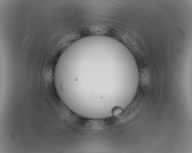 X0000115820713200911131444