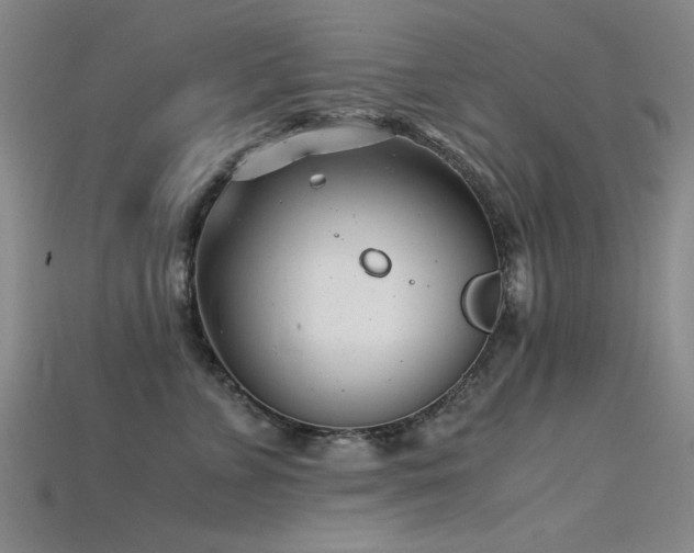 X0000115820715200911131444