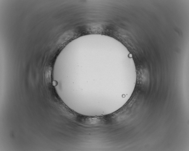 X0000115820717200911131444