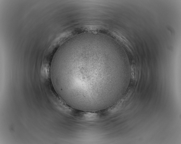 X0000115820718200911131444